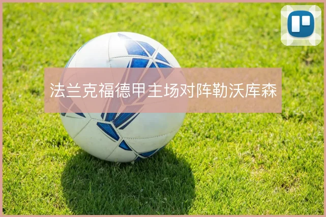 法兰克福德甲主场对阵勒沃库森