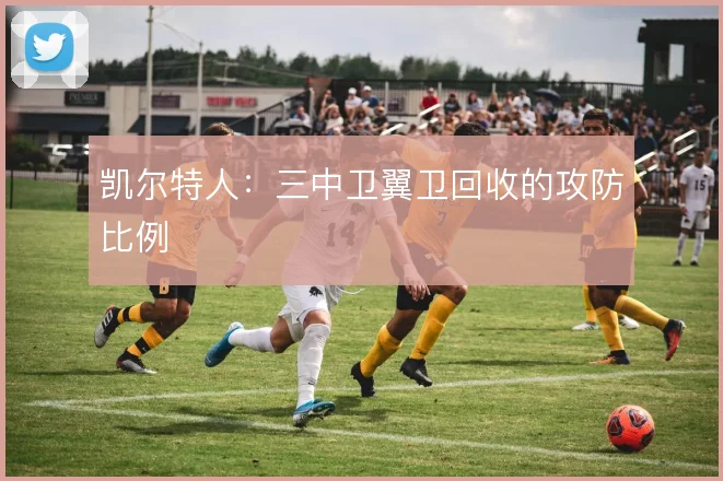 凯尔特人：三中卫翼卫回收的攻防比例