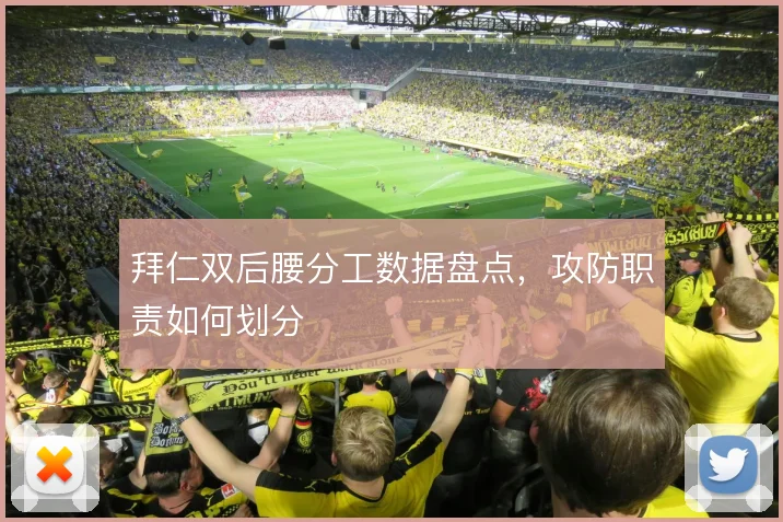 拜仁双后腰分工数据盘点,攻防职责如何划分